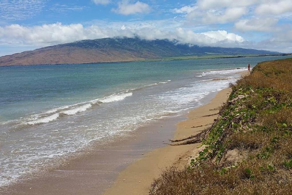 Appartement Oceanfront Penthouse With Amazing Views At Kauhale Makai à Kihei Extérieur photo